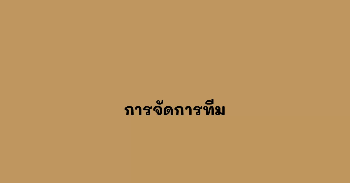 การจัดการทีม
