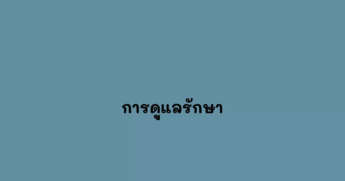 การดูแลรักษา