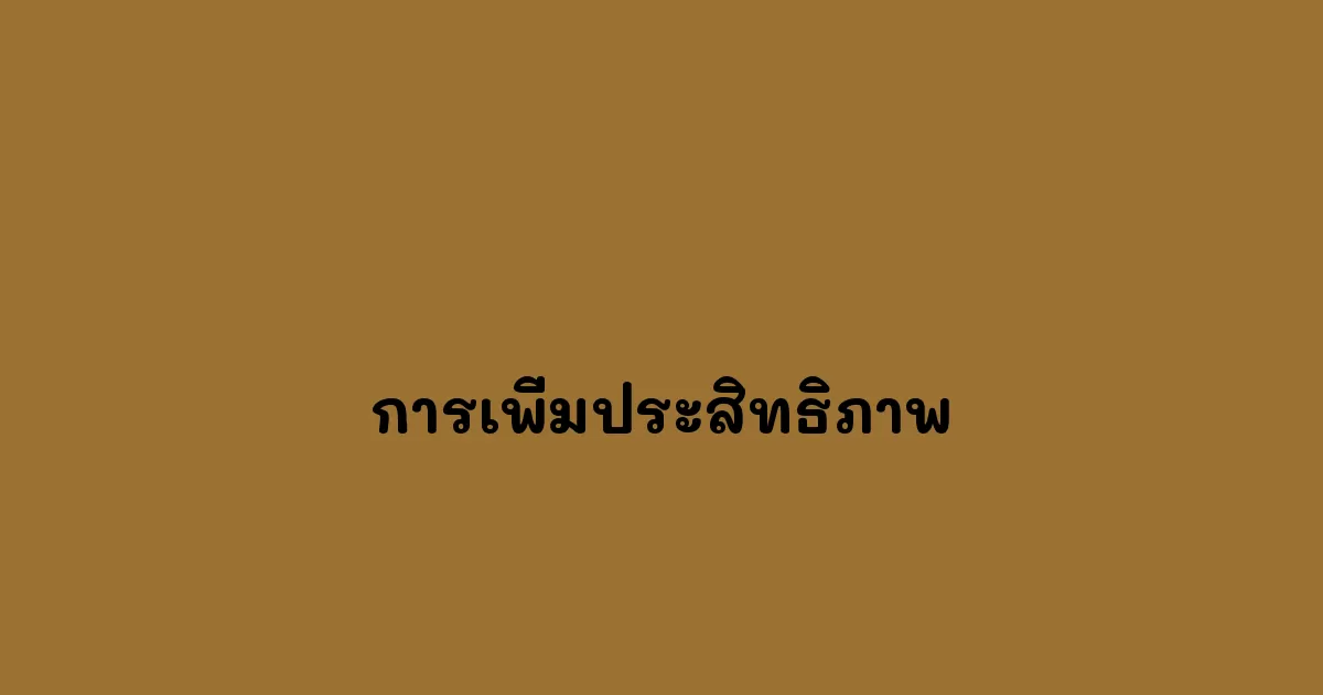 การเพิ่มประสิทธิภาพ