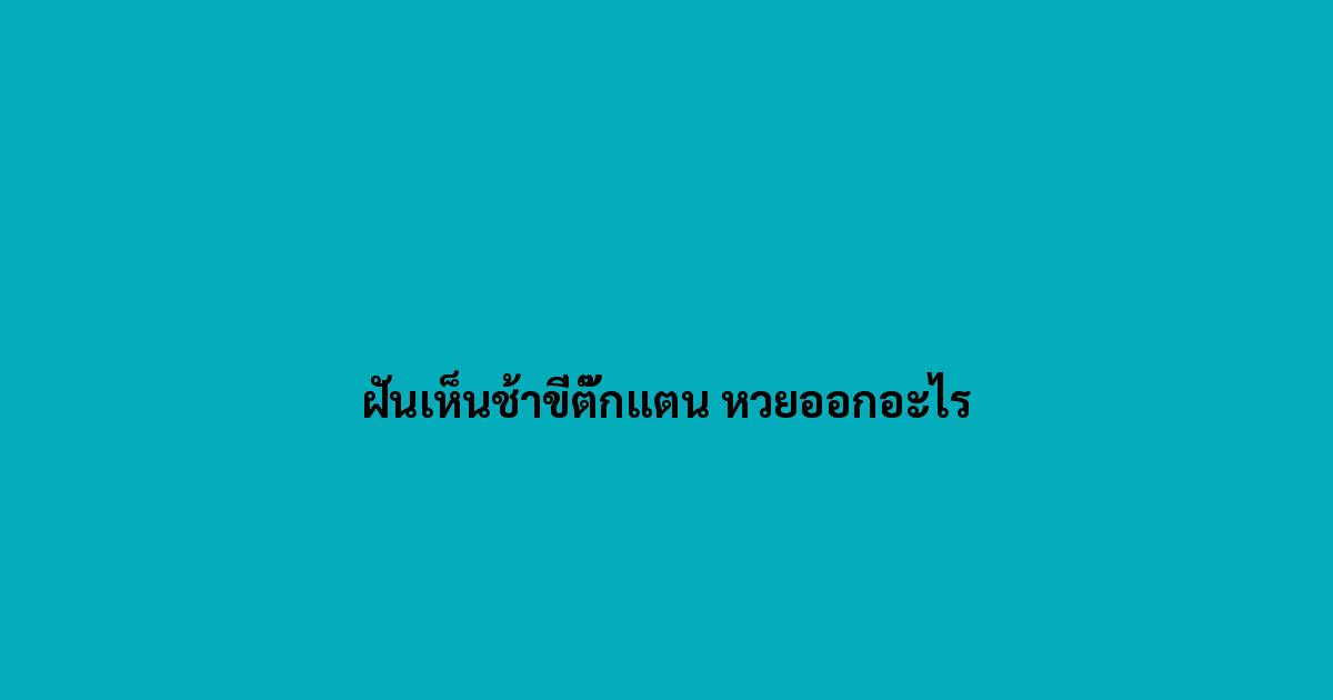 ฝันเห็นช้าขี่ตั๊กแตน หวยออกอะไร