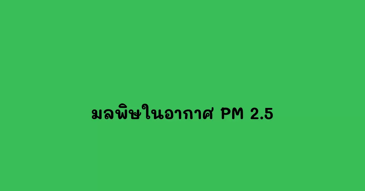มลพิษในอากาศ PM 2.5 สาเหตุ ผลกระทบ และแนวทางการจัดการ