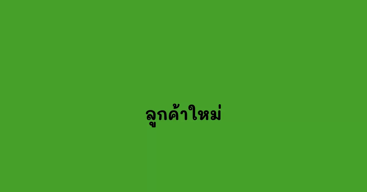 ลูกค้าใหม่