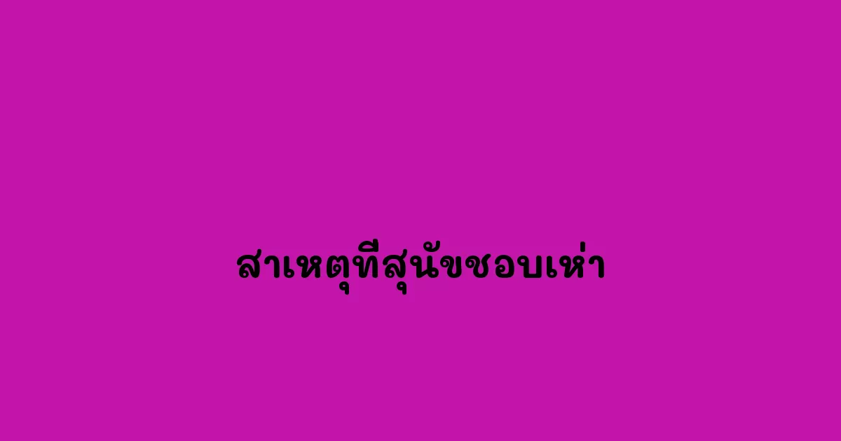 สาเหตุที่สุนัขชอบเห่า.webp