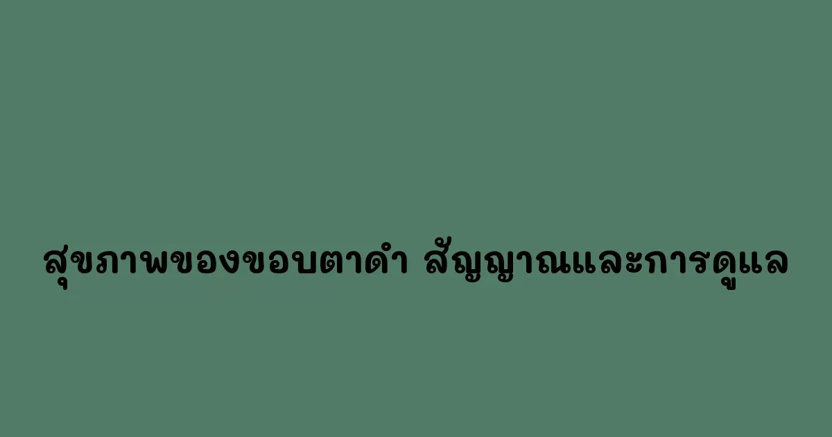 สุขภาพของขอบตาดำ-สัญญาณและการดูแล.webp