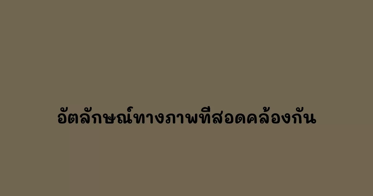อัตลักษณ์ทางภาพที่สอดคล้องกัน