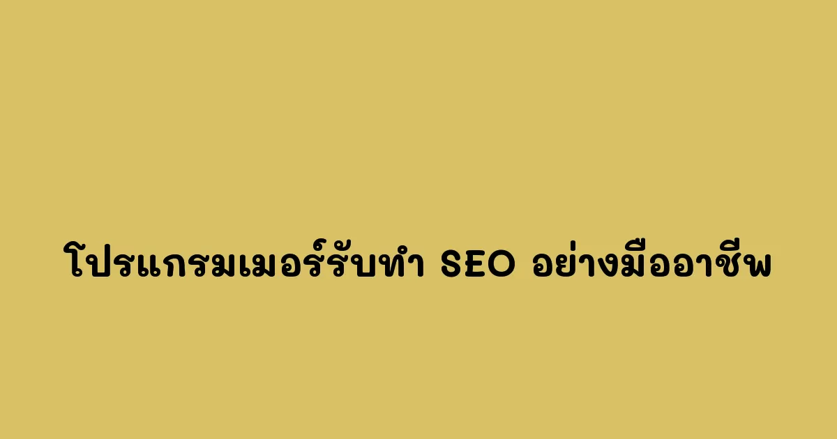 โปรแกรมเมอร์รับทำ SEO อย่างมืออาชีพ